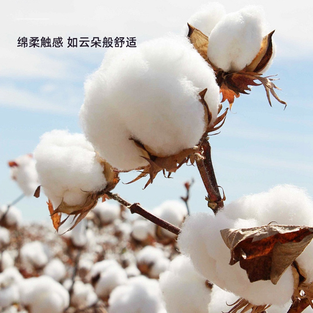 5.0/3.0/2.5 مللي متر رأس مطاطي - مراجعة Cotton Wick Organic وسعره